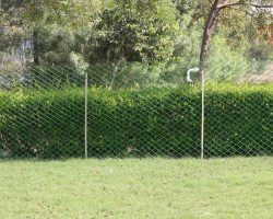 Chain_link_fence_1