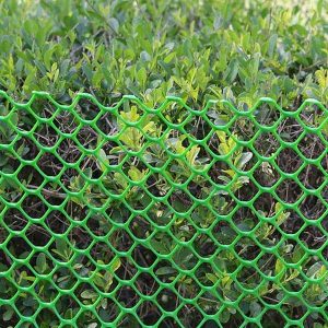 Hexa Shape Fencing Net